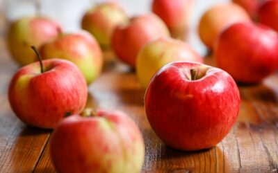 Penerapan Biomimetik Dalam Dunia Dirgantara