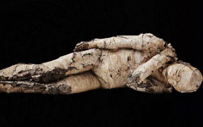 Teknologi Jaring Ikan yang Meniru Jaring Laba-Laba